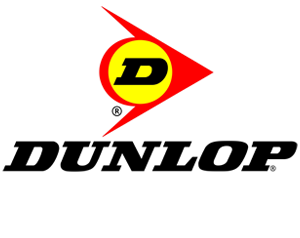 Dunlop3000