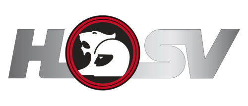 HSV